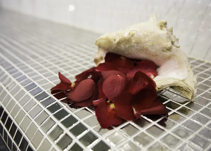 Hotel Sirius - Free Access 4*